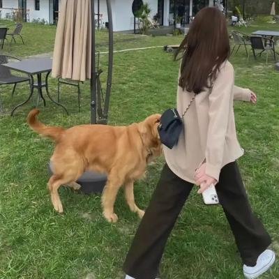 兔子谜题